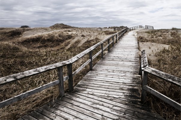 path_1