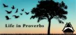 lifeInProverbs_SPBC